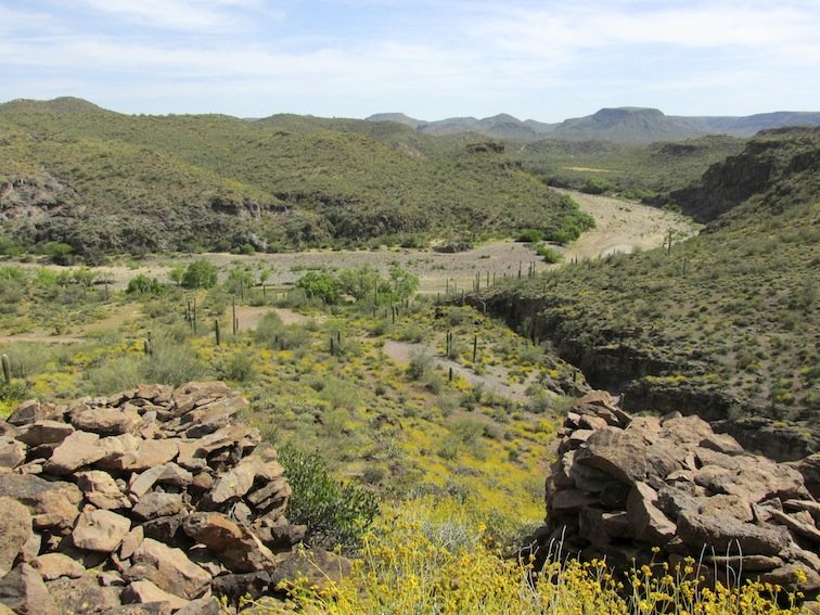 Dried Riverbed